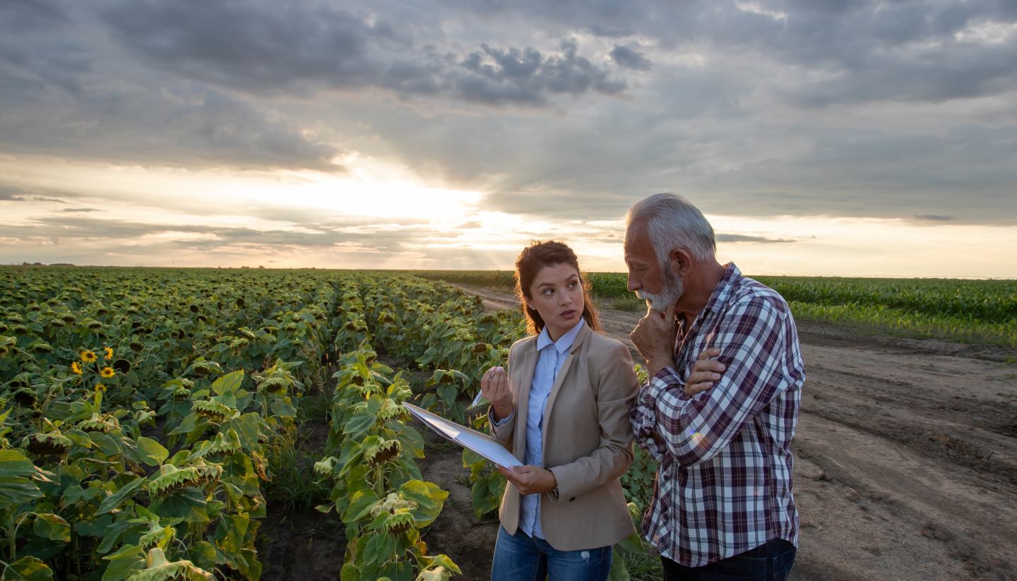 consultant and farmer