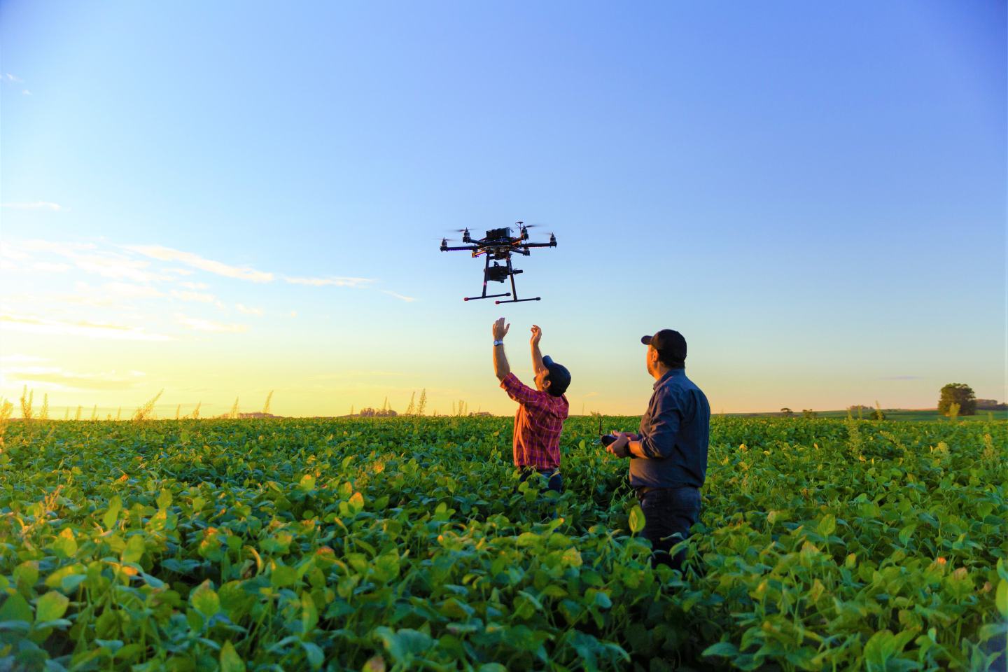 Two farms operate agricultural drone. Sustainable companies sustainable farming green farming.,