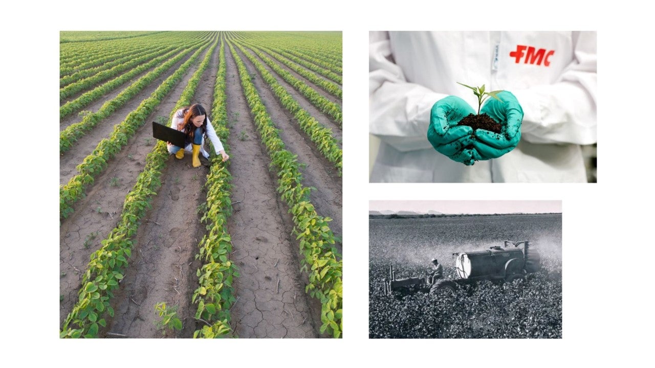 collage of farmer in row crop, gloved hands holding plant, old time sprayer