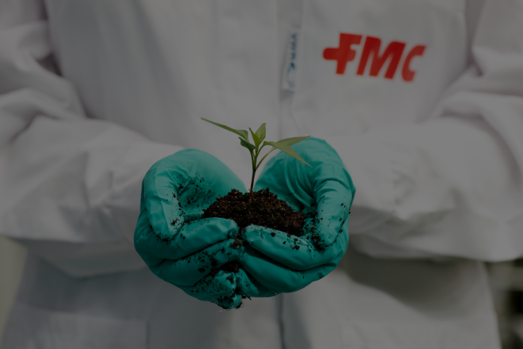 seedling in researcher's hands