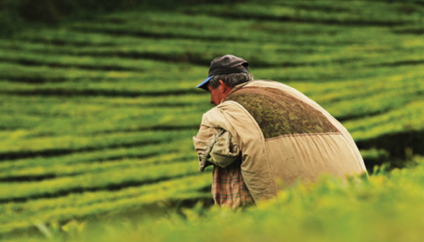 man in field