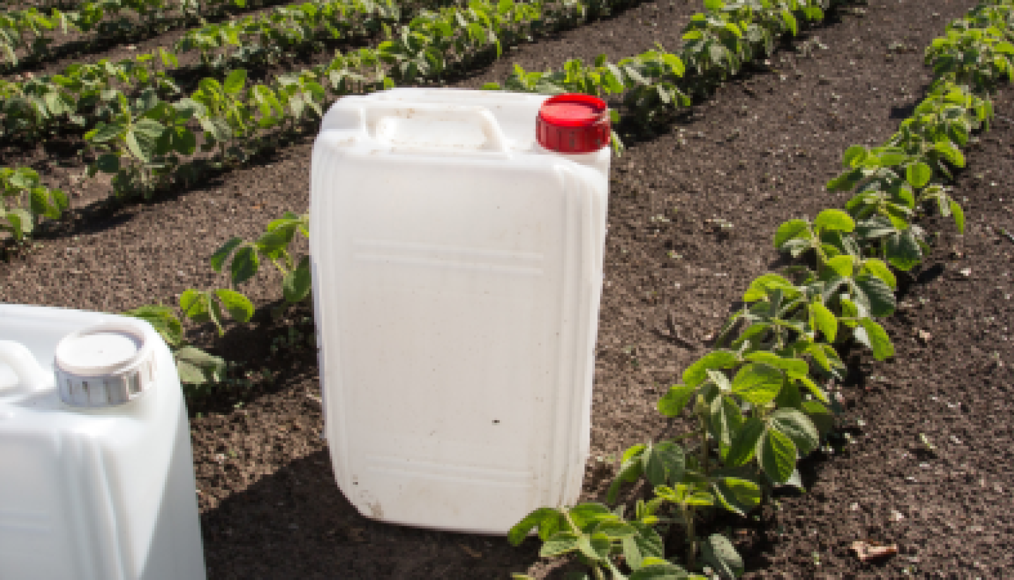 Counterfeit pesticides.