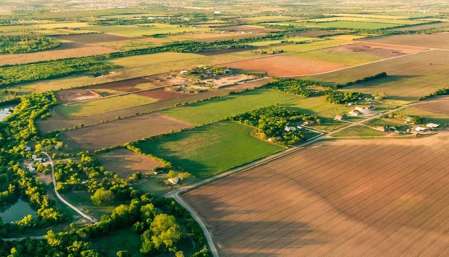 arial farm