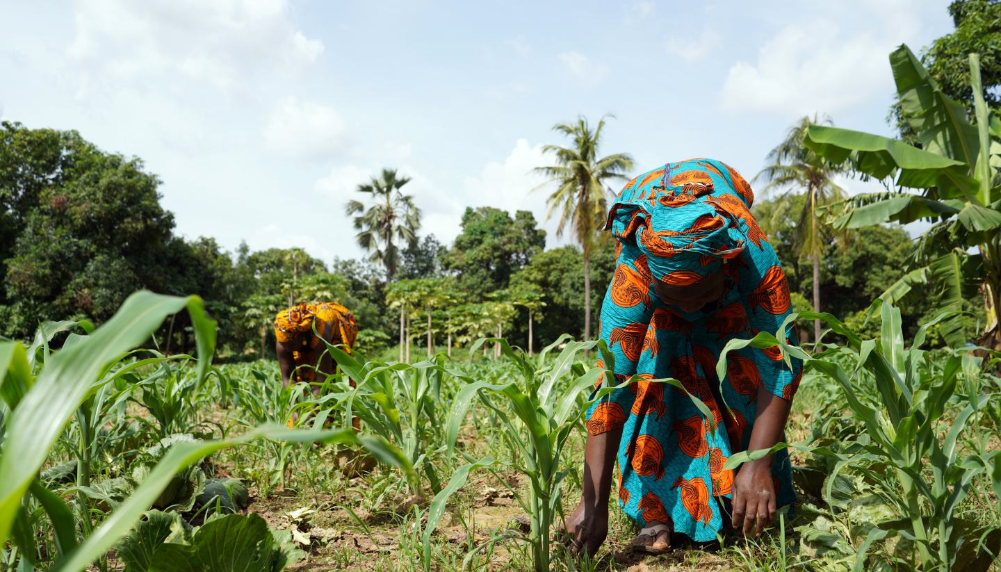 farmers in field