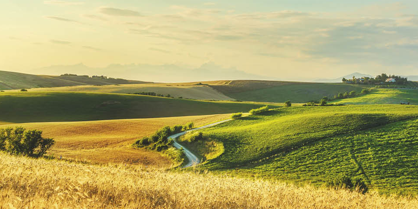 Hilly landscape in Italy