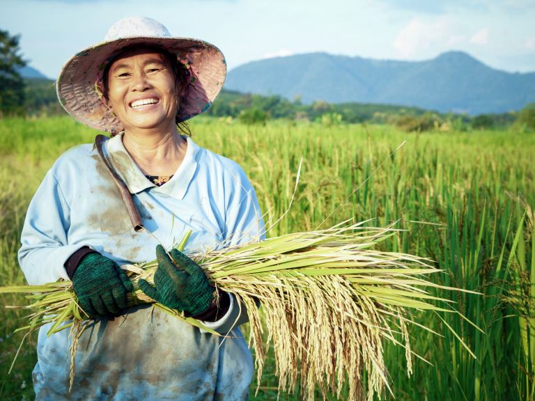 Asian farmer