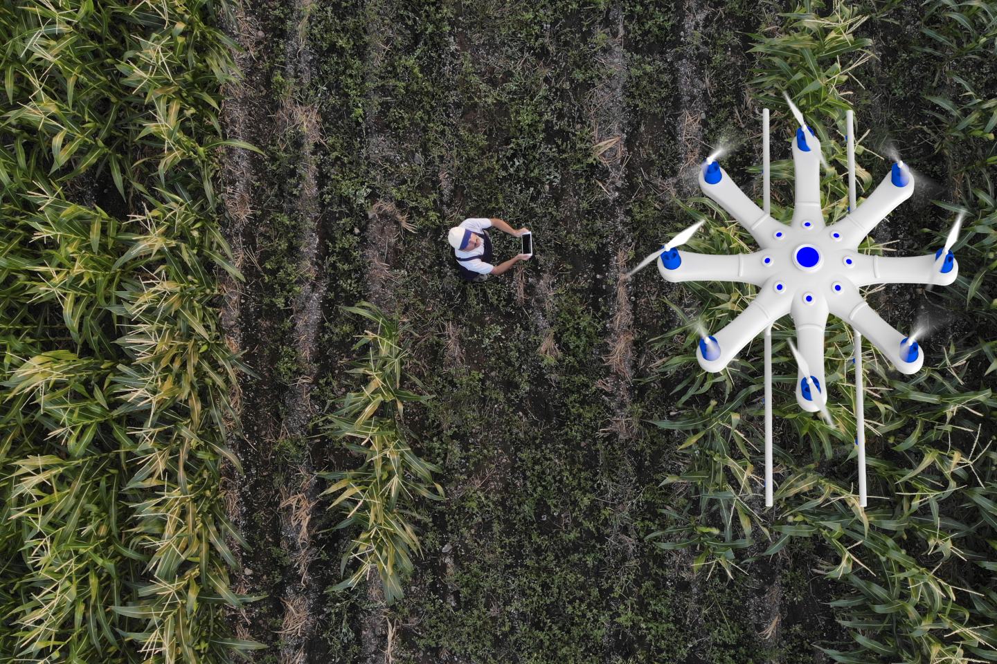 Aerial view of field. Sustainability, innovation, agrochem, agritech.