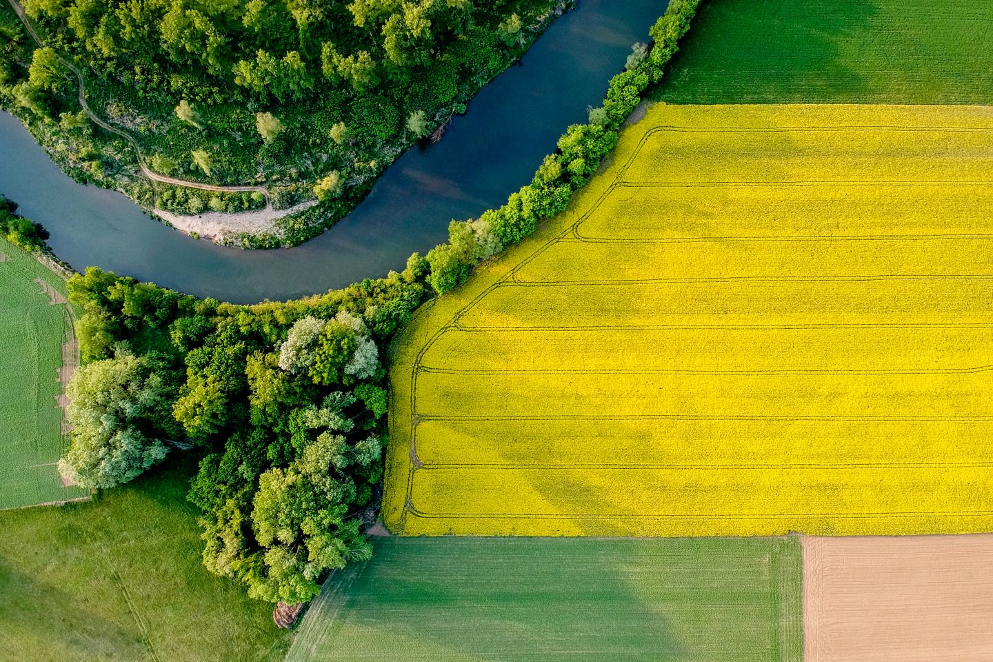 Aerial view of field. Sustainability, innovation, agrochem, agritech.