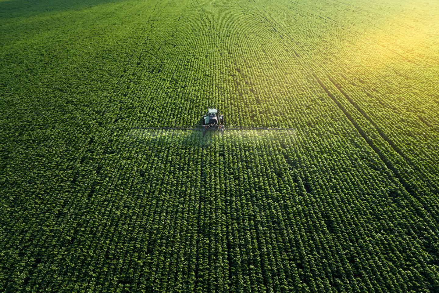 Aerial view of field. Sustainability, innovation, agrochem, agritech.