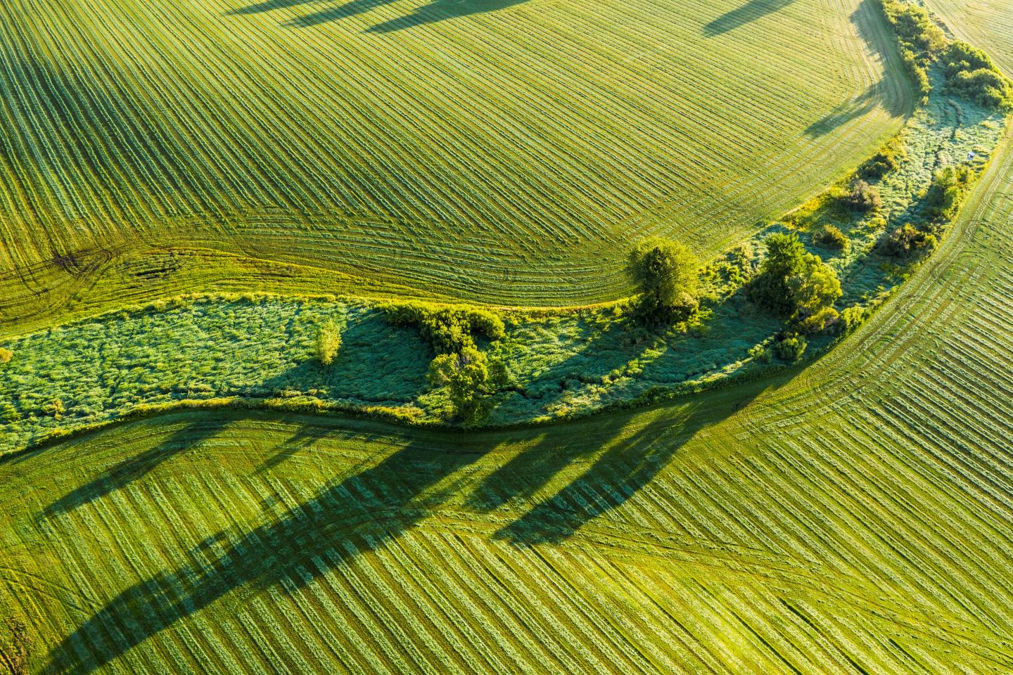 Aerial view of field. Sustainability, innovation, agrochem, agritech.