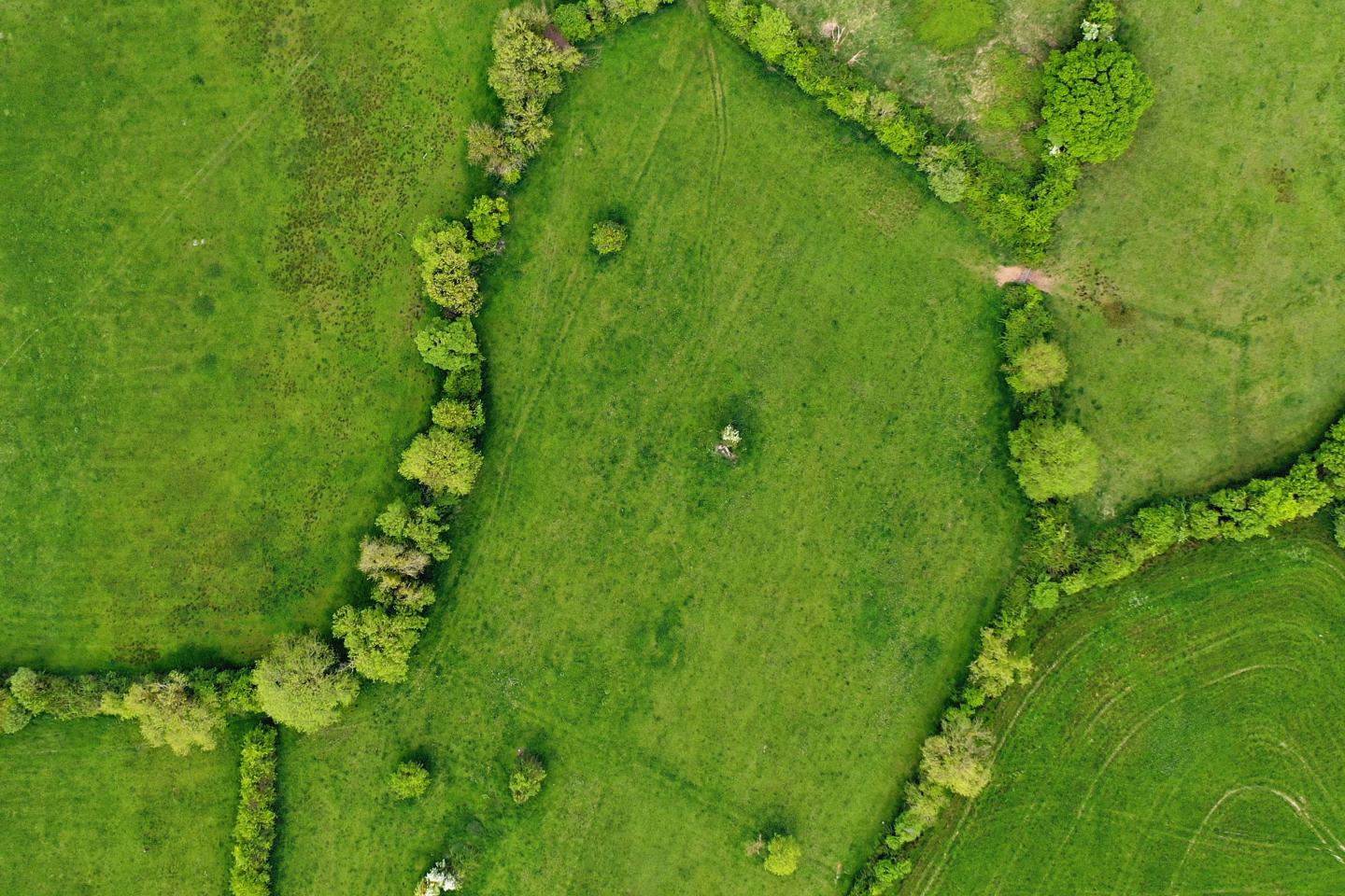 Aerial view of field. Sustainability, innovation, agrochem, agritech.