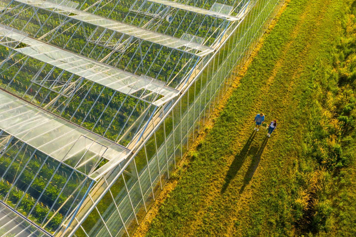 Aerial view of field. Sustainability, innovation, agrochem, agritech.