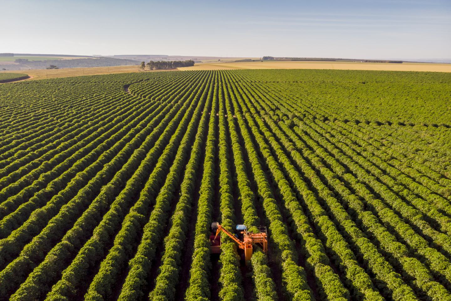 Aerial view of field. Sustainability, innovation, agrochem, agritech.