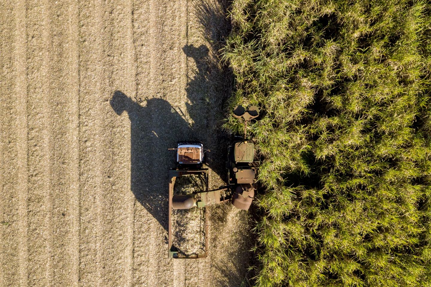 Aerial view of field. Sustainability, innovation, agrochem, agritech.