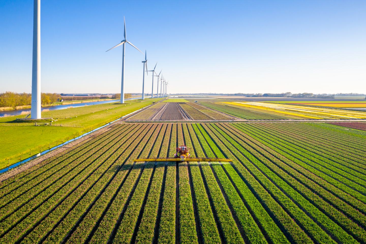 Aerial view of field. Sustainability, innovation, agrochem, agritech.