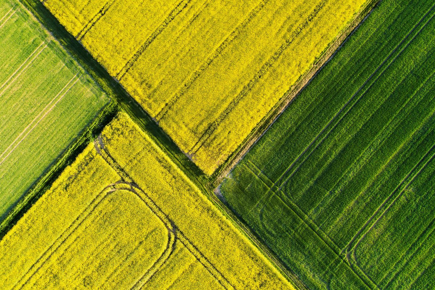 Aerial view of field. Sustainability, innovation, agrochem, agritech.