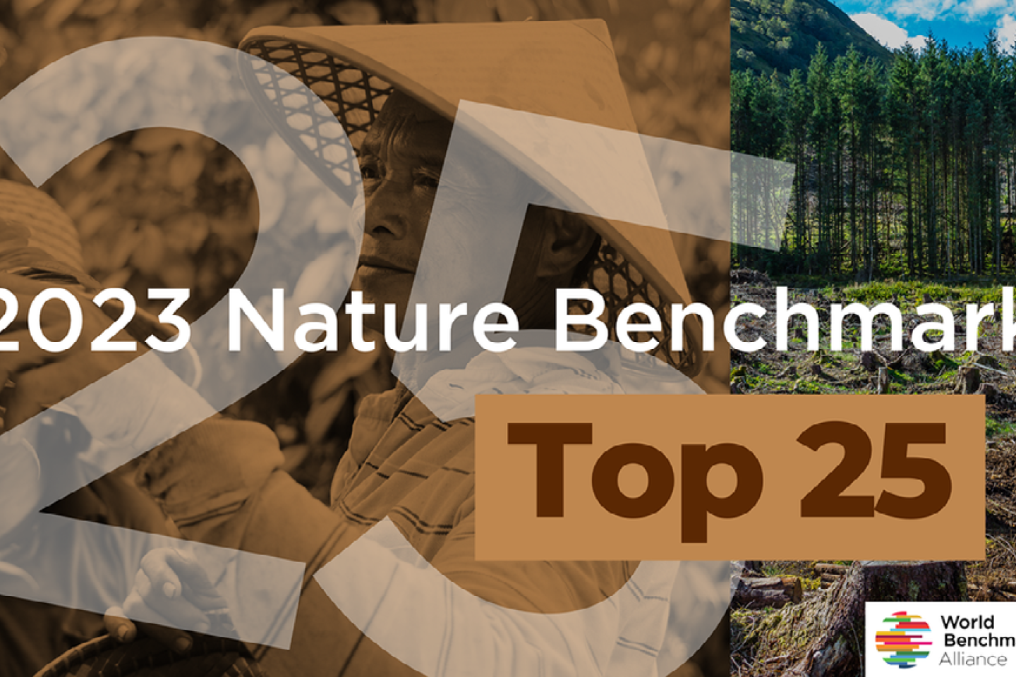 World Benchmarking Alliance's 2023 Nature Benchmark logo