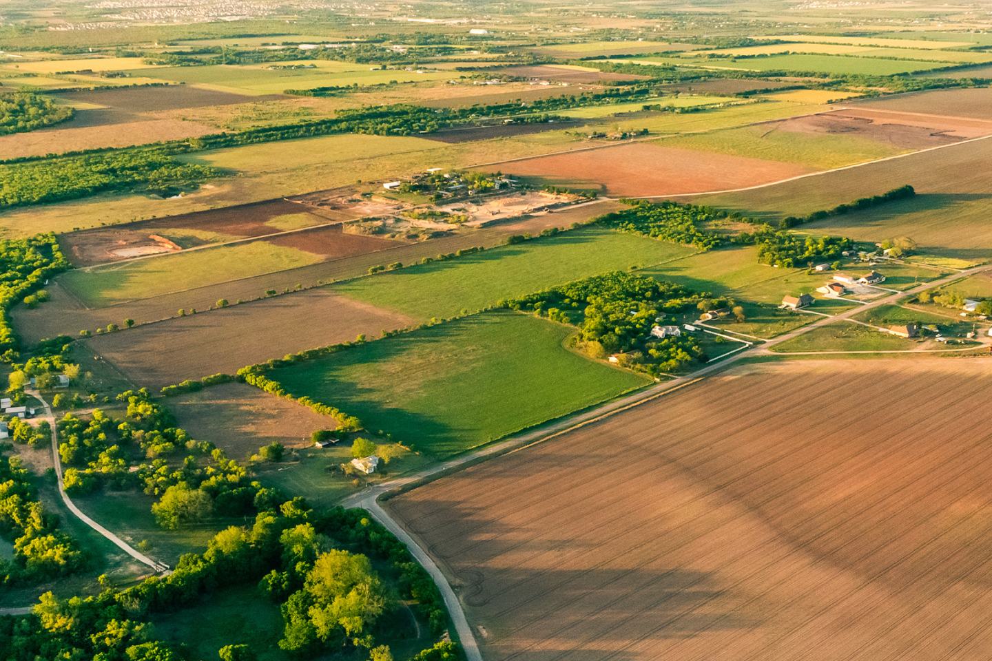 farm