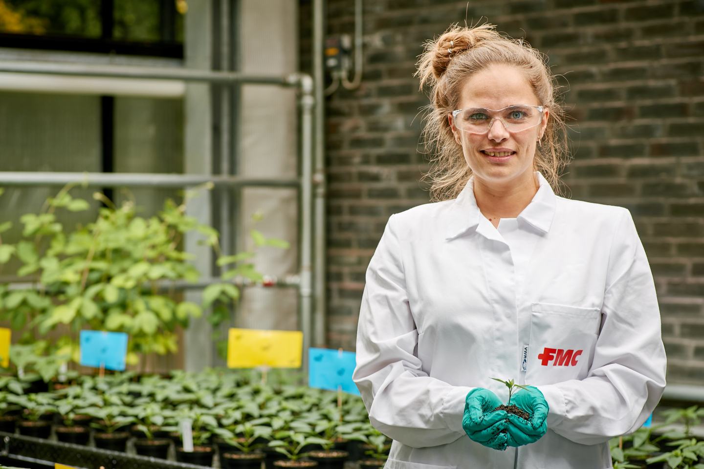 scientist holding plant