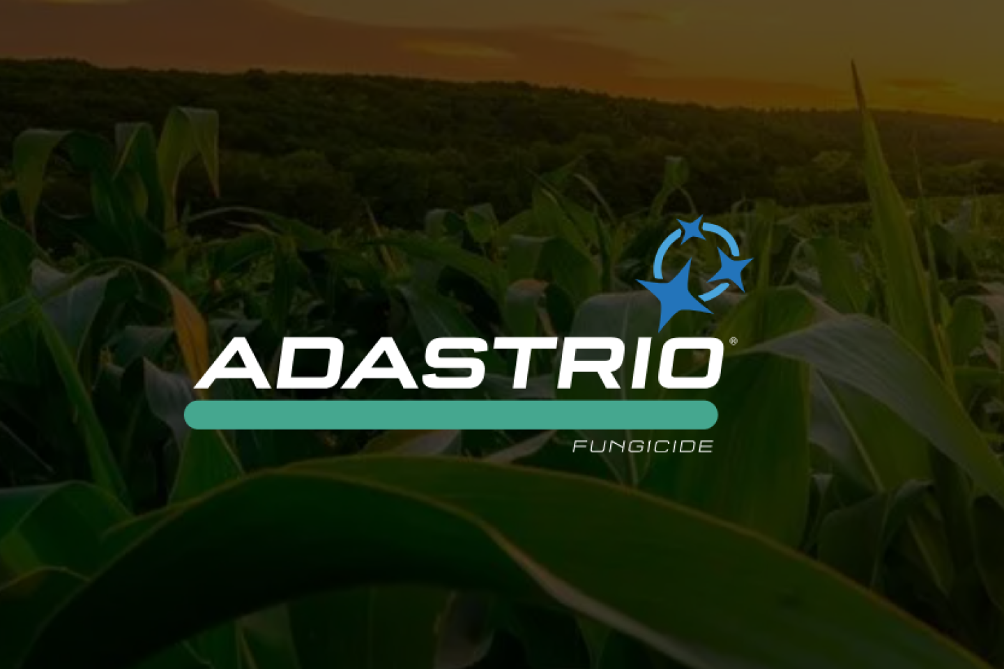 Adastrio_Fungicide