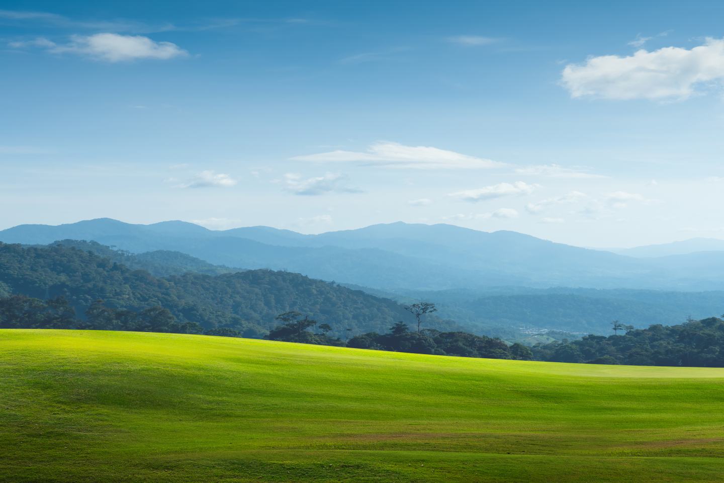 field and mountains