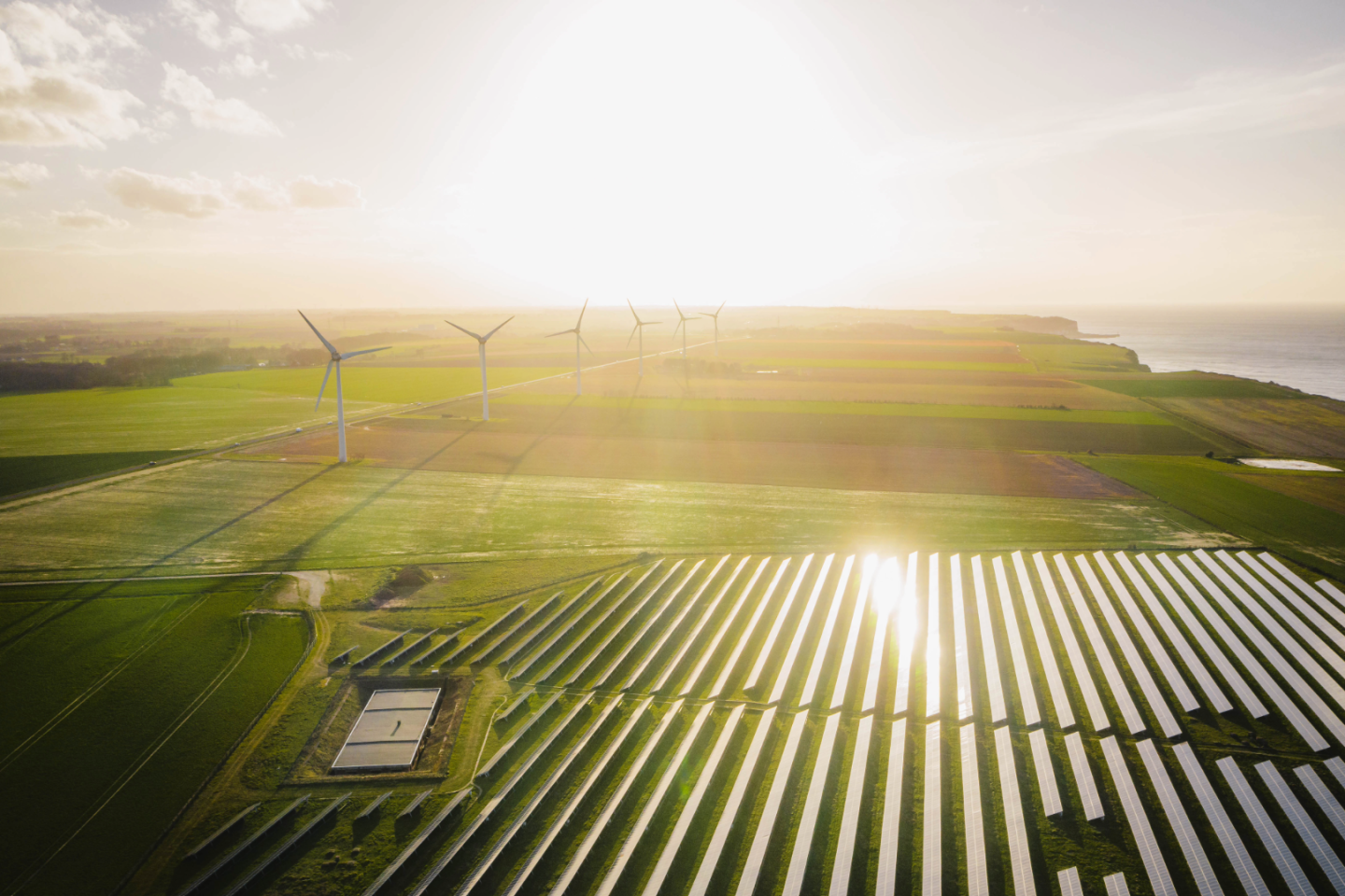 field with solar panels 