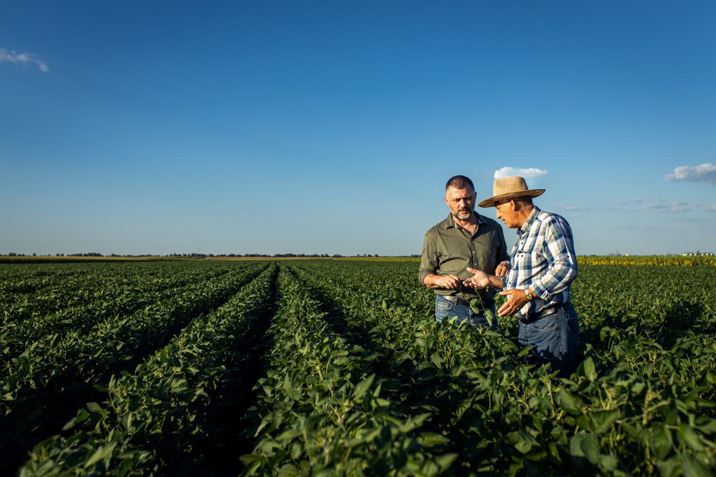 two farmers partnership