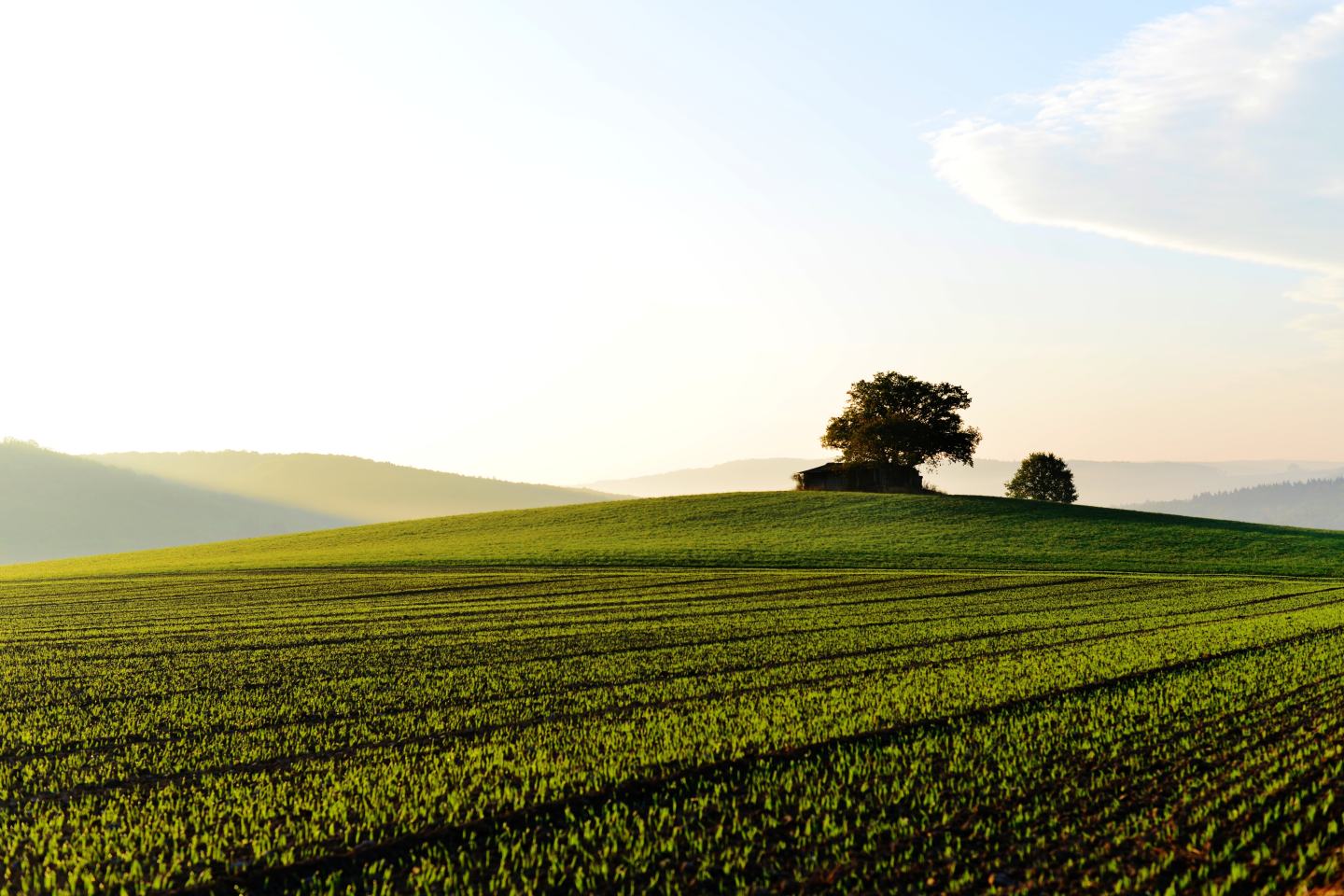 farm at sunset