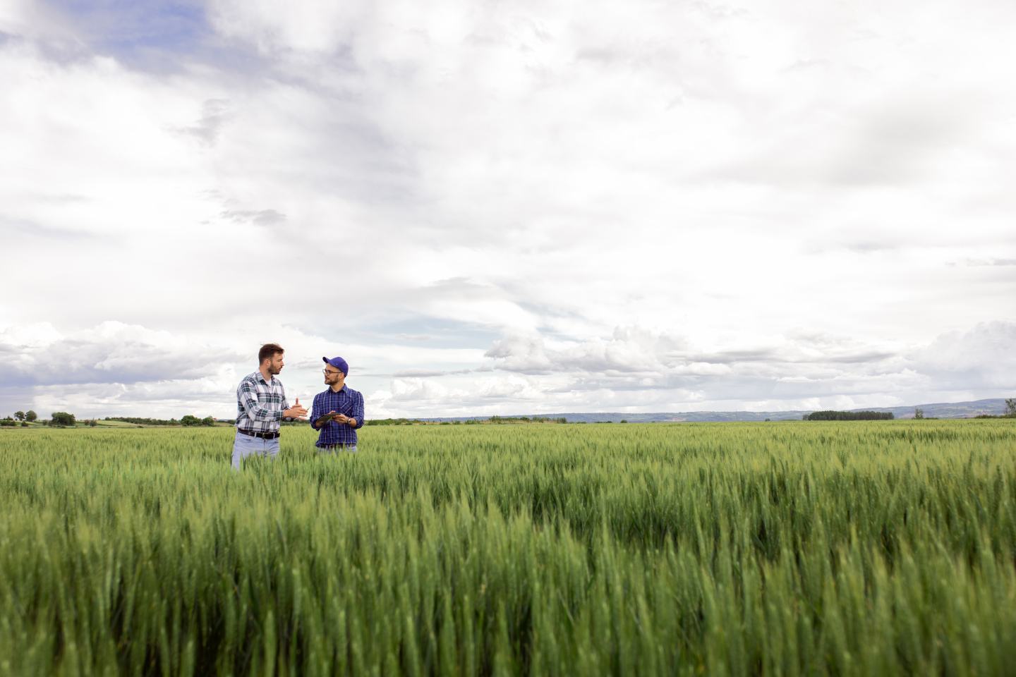 two farmers in a field