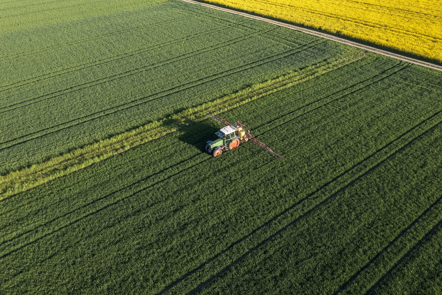 tractor in field