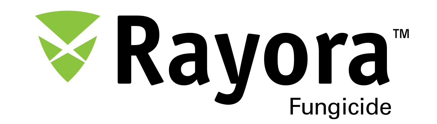 rayora logo