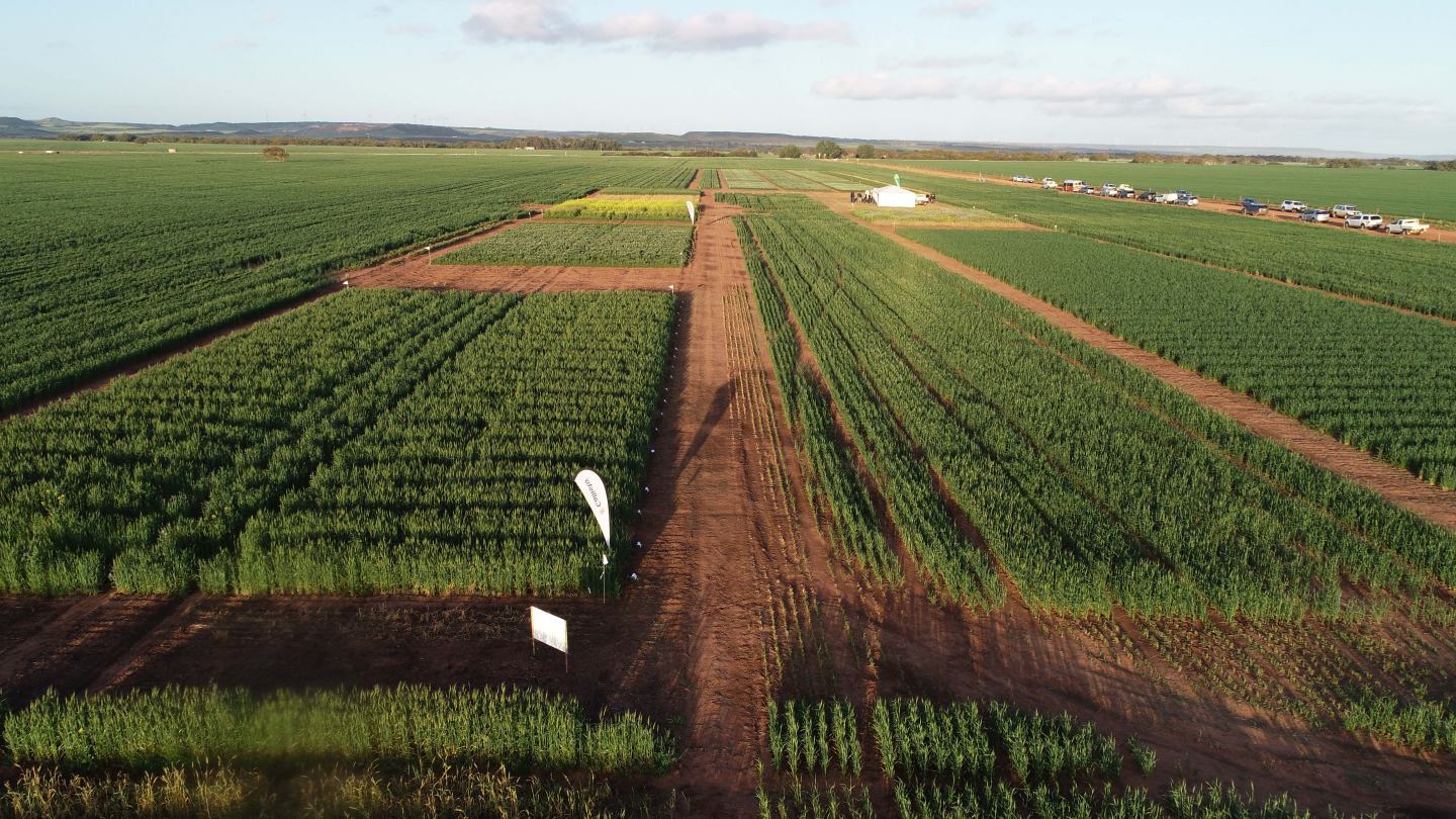 Isoflex field day