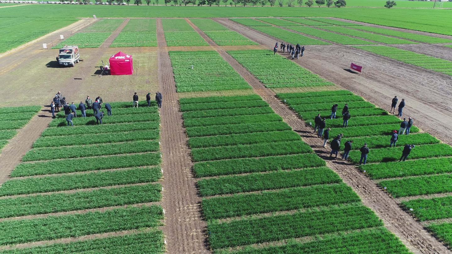 Isoflex field day