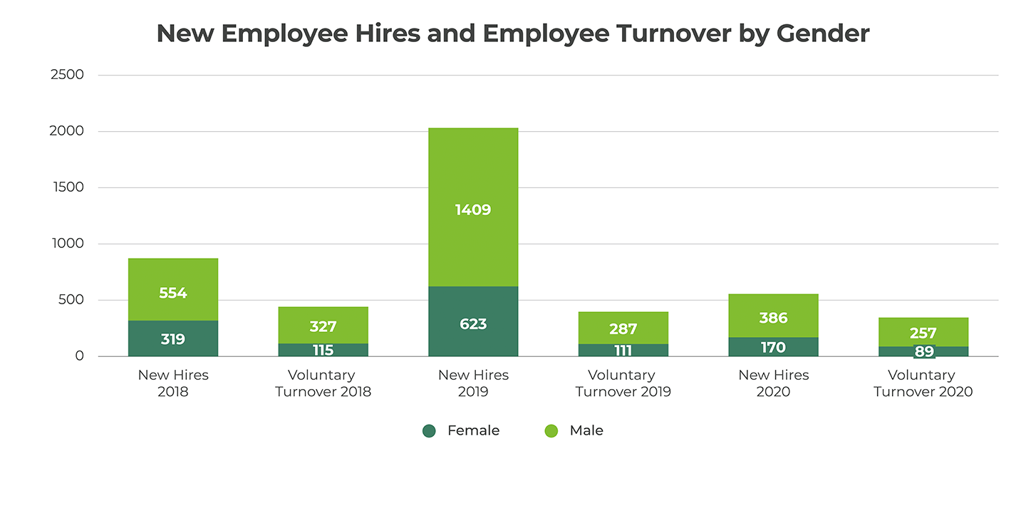 New Employee Hires and Employee Turnover by Gender Graph
