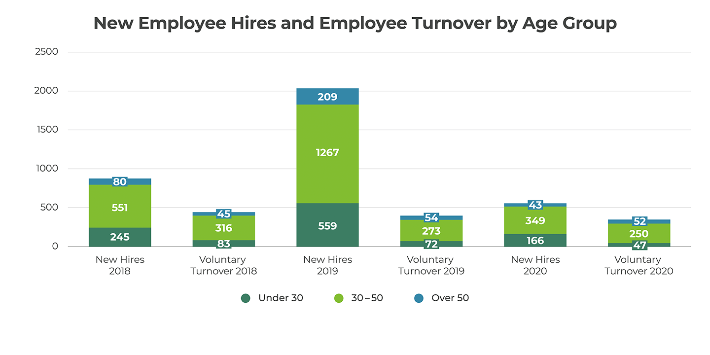 New Employee Hires and Turnover by Age Group Graph
