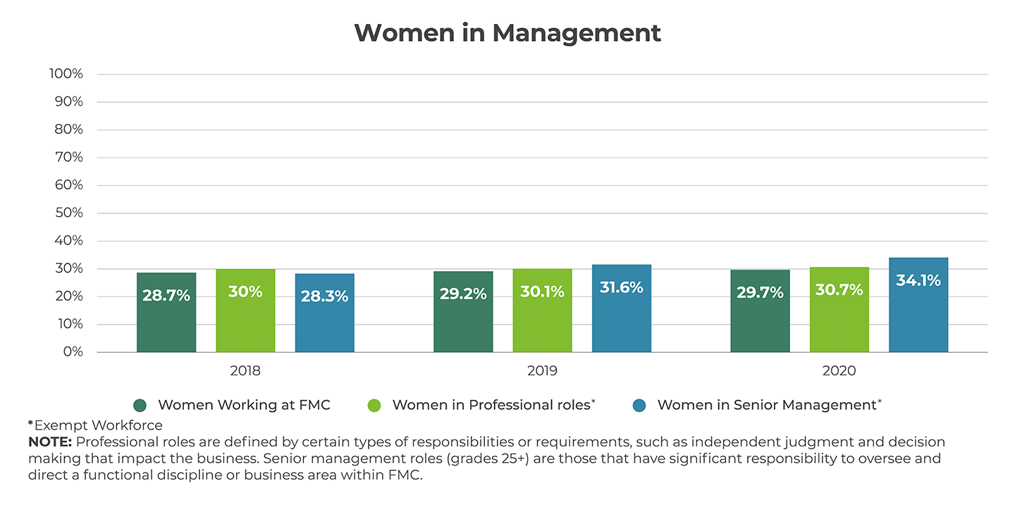 Women in Management Graph