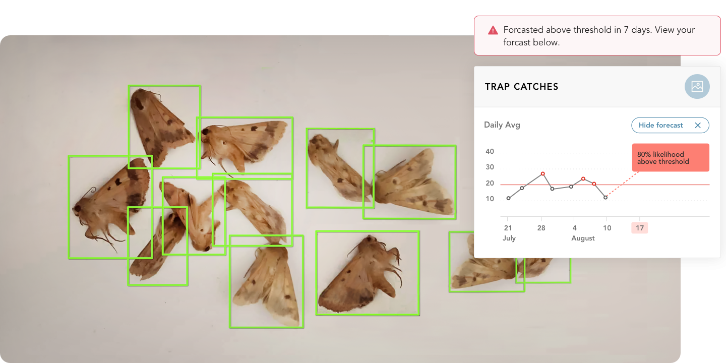 annotated pest graph