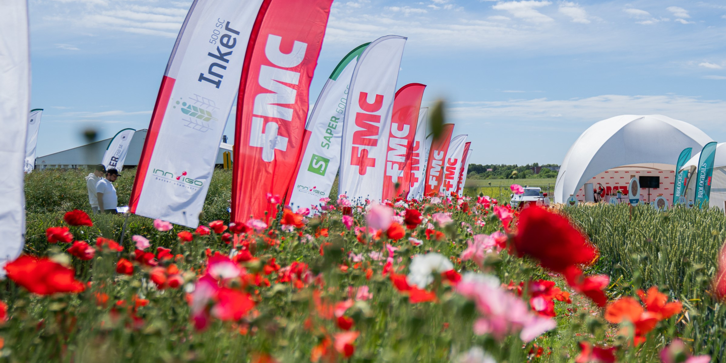 FMC flower field