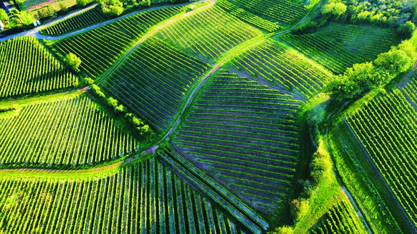 Aerial Field View