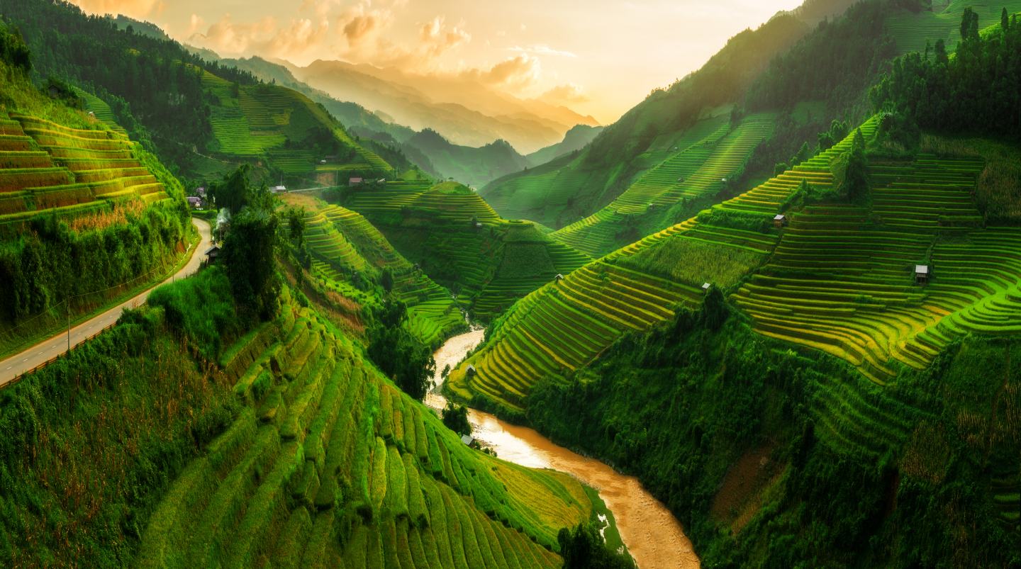 landscape terraced rice field