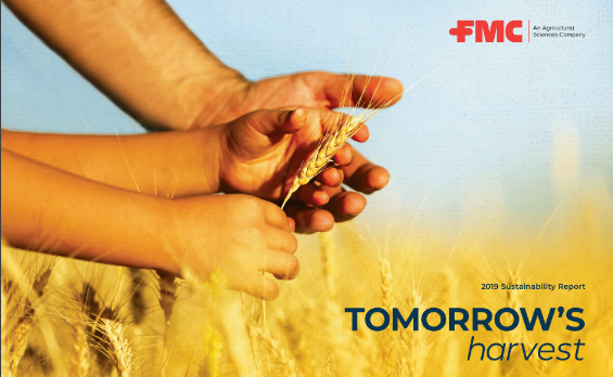 Hands holding wheat