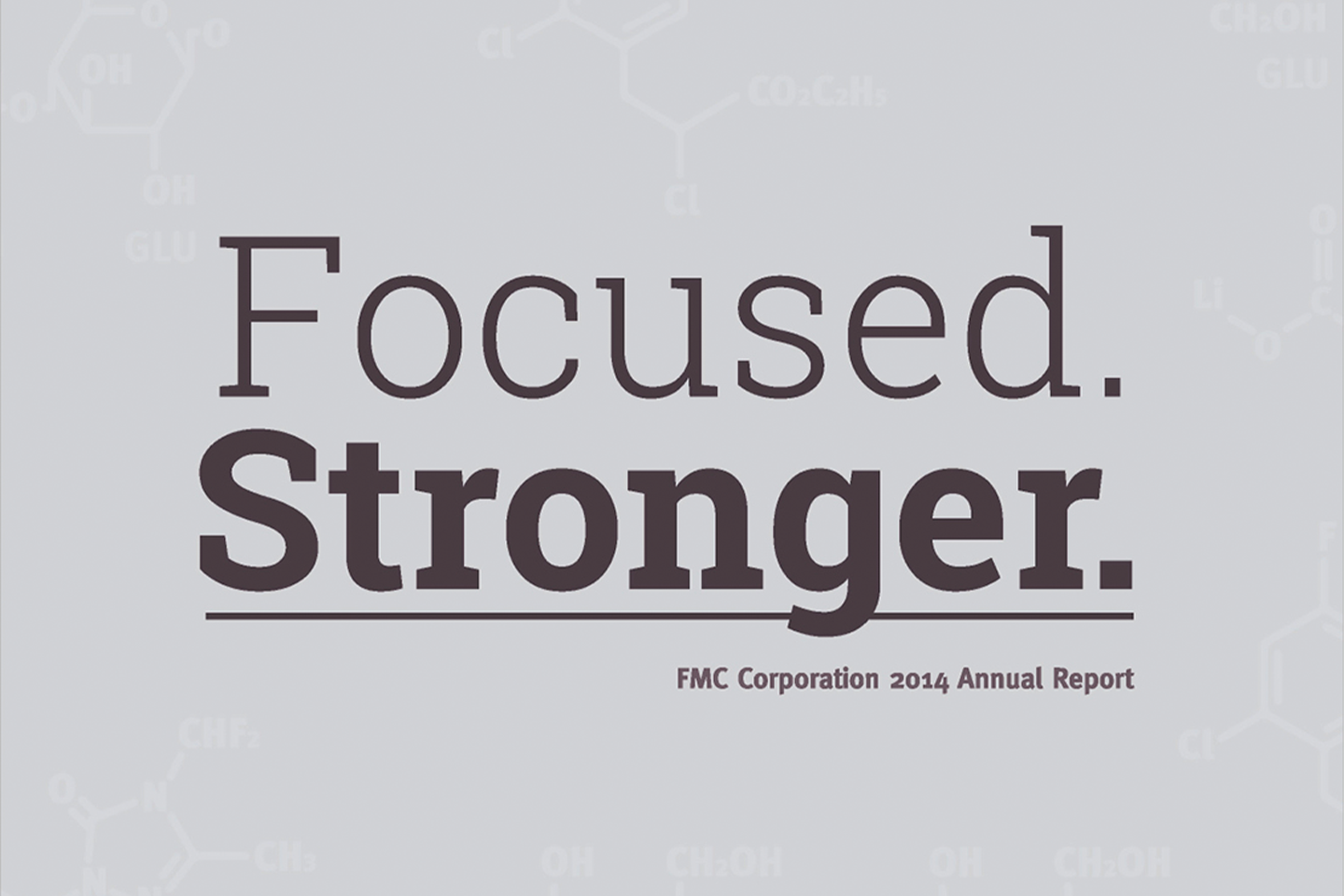 2014 FMC Annual Report