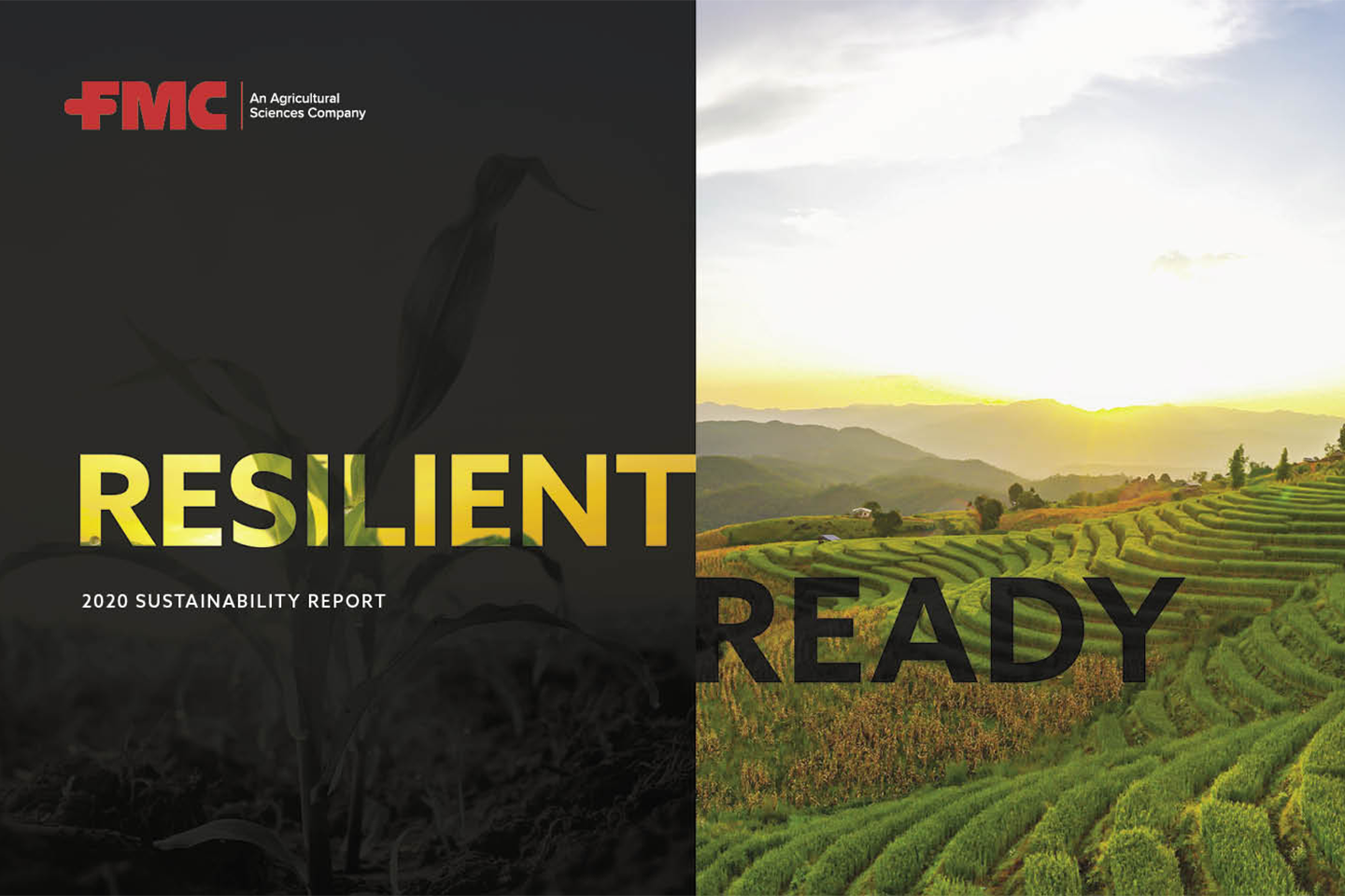 2020 FMC Sustainability Report