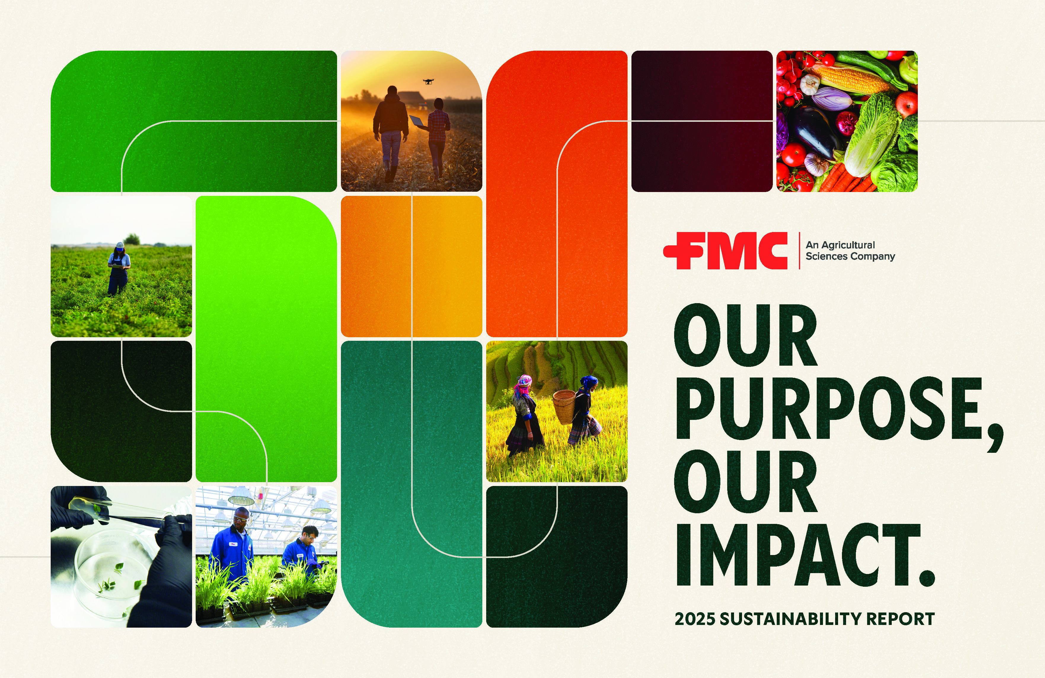 2025 Sustainability Report cover